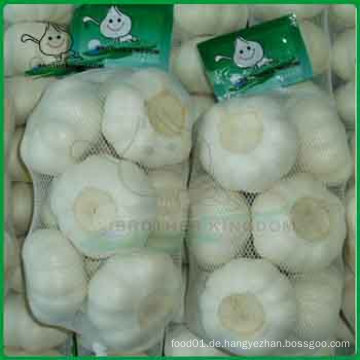 Frischer weißer Knoblauch / Knoblauch mit 500g Packung / Jinxiang Knoblauch